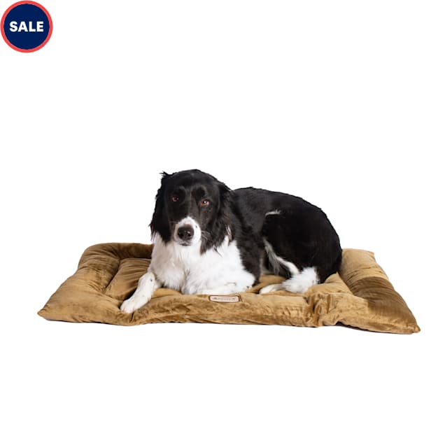 Armarkat Sage Green Pet Crate 35