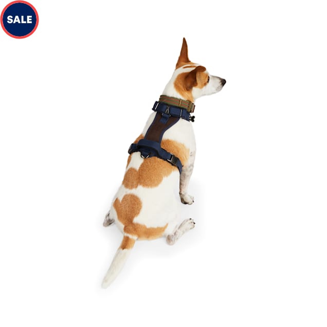 Reddy Navy Fleece Dog Harness, Medium Petco