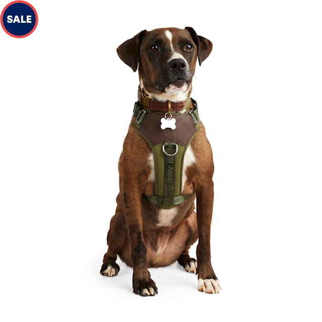Reddy Olive Jacquard Dog Harness, Medium Petco
