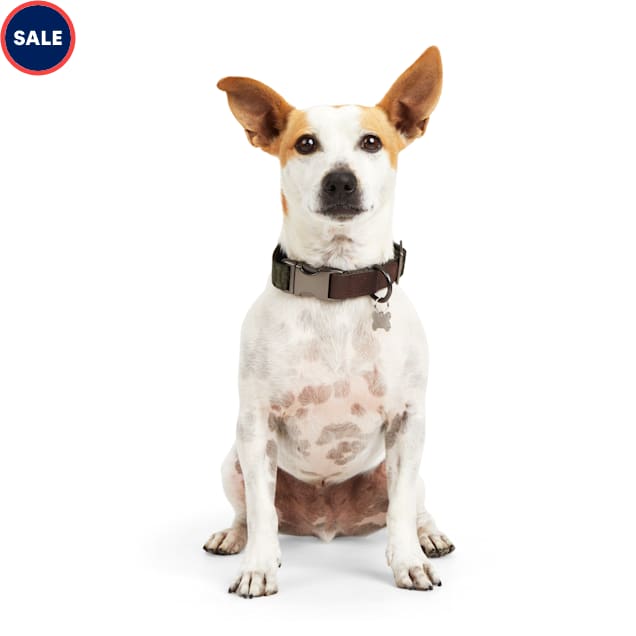 Reddy Olive Jacquard Dog Collar, X-Small | Petco