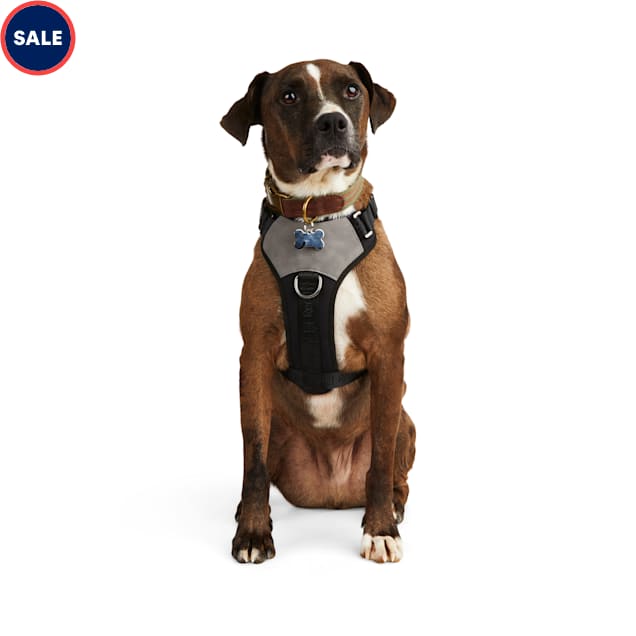 Reddy Black Jacquard Dog Harness, Medium Petco