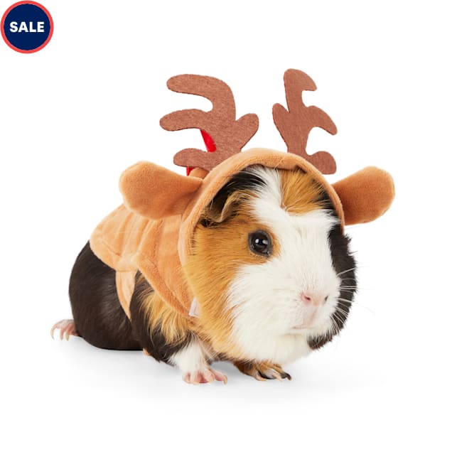 Oh Deer Guinea Pig Reindeer Costume