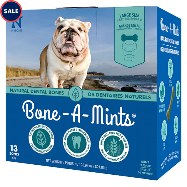 N-Bone Bone-A-Mints Mint Flavor Daily Dental Large Bone for Dogs, 28.99 oz. - Carousel image #1