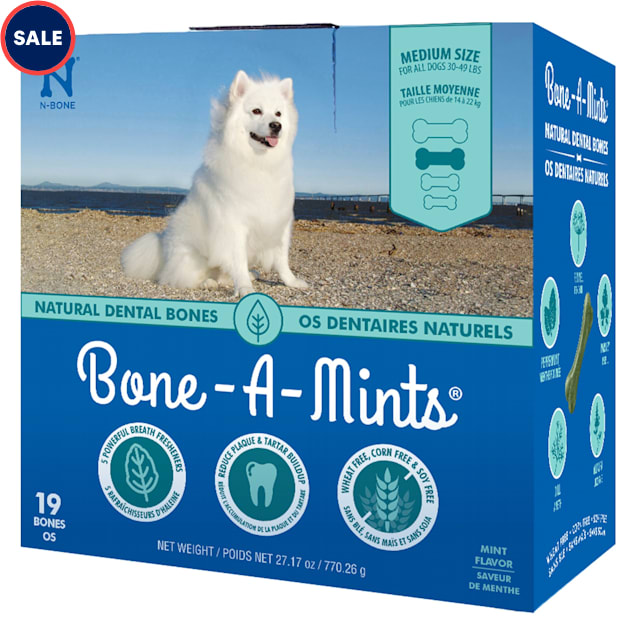 N-Bone Bone-A-Mints Mint Flavor Daily Dental Medium Bone for Dogs, 27.17 oz. - Carousel image #1