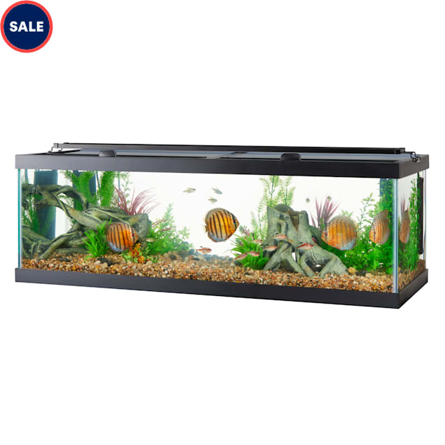 Aqua Culture Aquarium, Glass Starter Fish Tank or Terrarium, 10 Gallon 