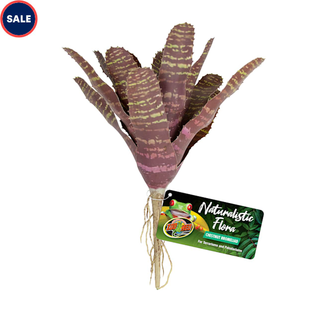 Zoo Med Naturalistic Flora Chestnut Bromeliad for Terrarium and Paludarium - Carousel image #1