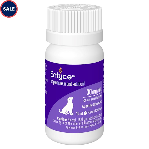 Entyce Oral Solution for Dogs, 10ML | Petco