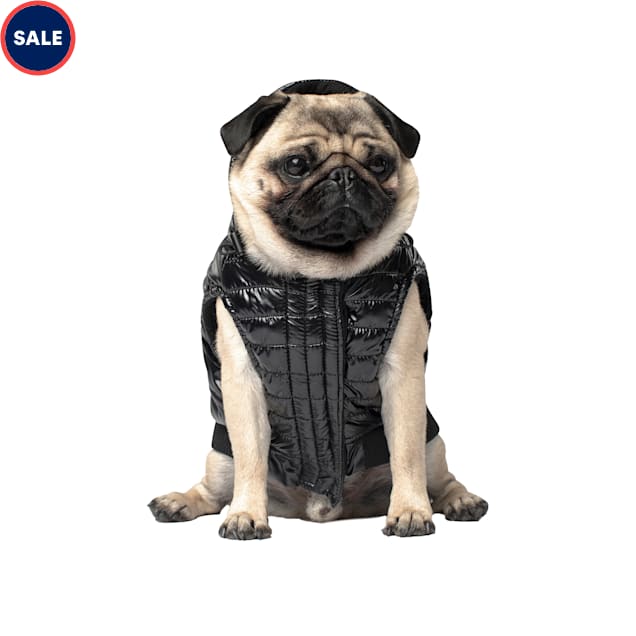 Service dog vest petco clearance