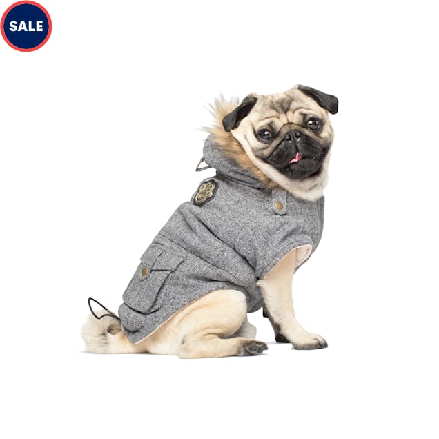 Petco dog winter coats discount