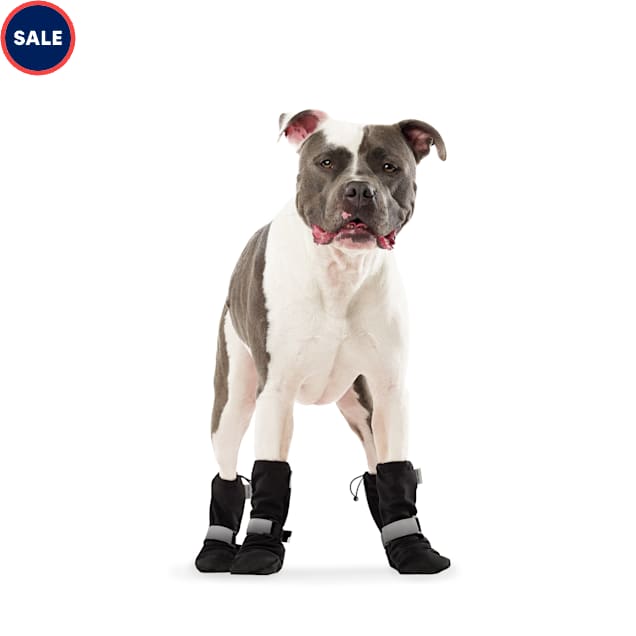 Dog boots outlet for sale