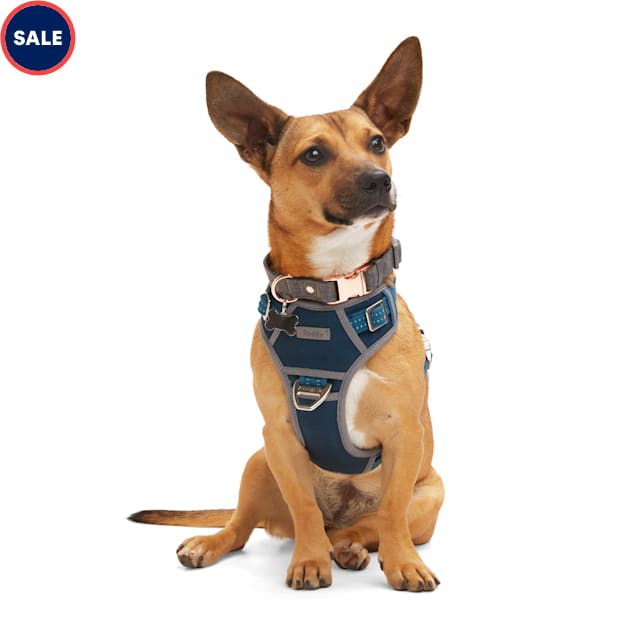 Reddy Navy Dog Harness, Medium Petco