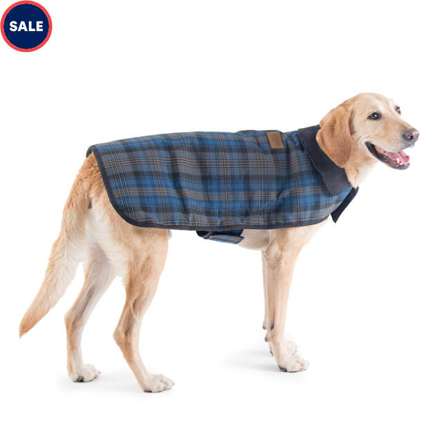 Petco dog sweaters and coats 2025