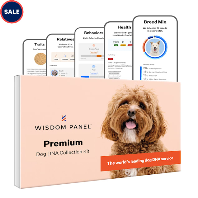 Wisdom panel health cheap canine dna test