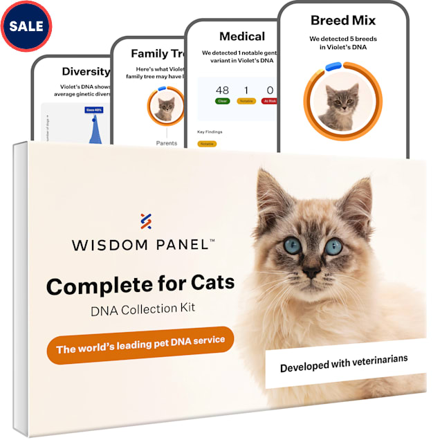 Wisdom Panel Complete Cat DNA Test on Sale At PETCO