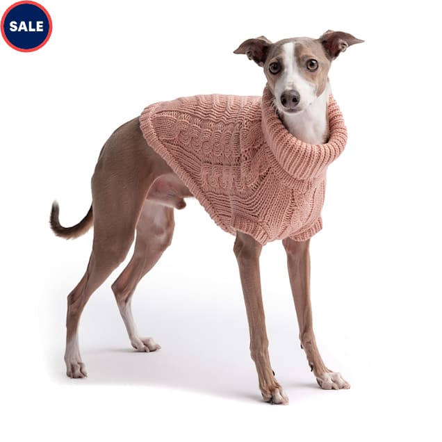 Petco small dog sweaters sales
