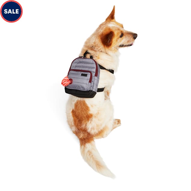 Reddy Quilted Dog Backpack, XSmall/Small