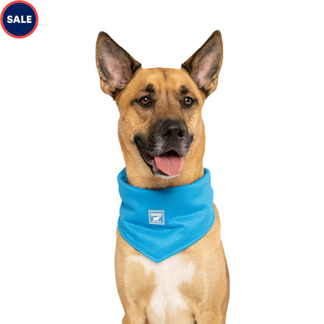 Canada Pooch Blue Chill Seeker Cooling Dog Bandana, Small - Carousel image #1