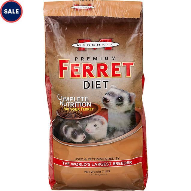 Ferret petco cost discount