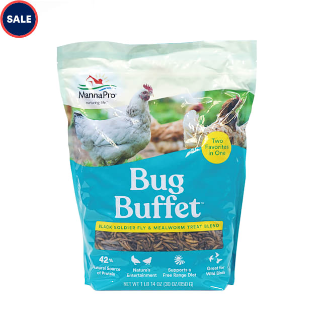 Manna Pro Bug Buffet, 30 oz. - Carousel image #1