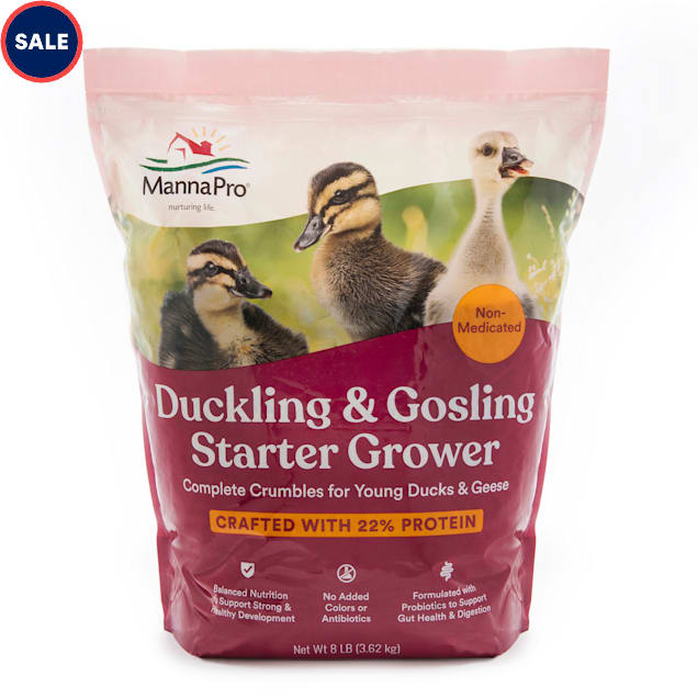 Manna Pro Starter Grower Duck Food, Pellets & Chick Feed, 8 lbs. - Carousel image #1