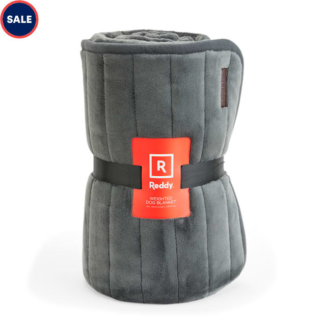 Reddy Weighted Pet Blanket, 50" L X 60" W Petco