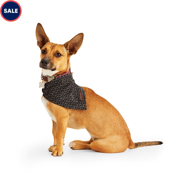Reddy Printed Reflective Dog Bandana, XSmall/Small Petco