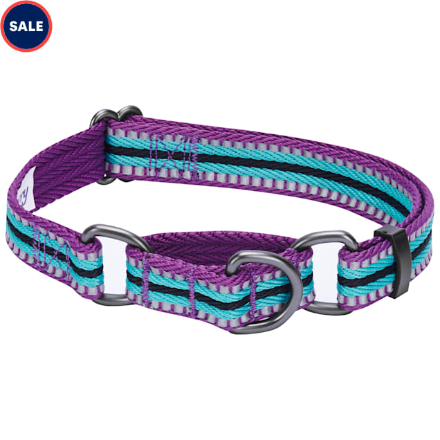 Blueberry Pet Violet and Celeste Reflective Training Martingale Adjustable Dog Collar, Small - Carousel image #1