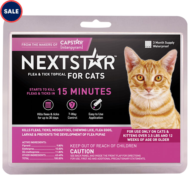 Can I Wash My Cat With Dawn