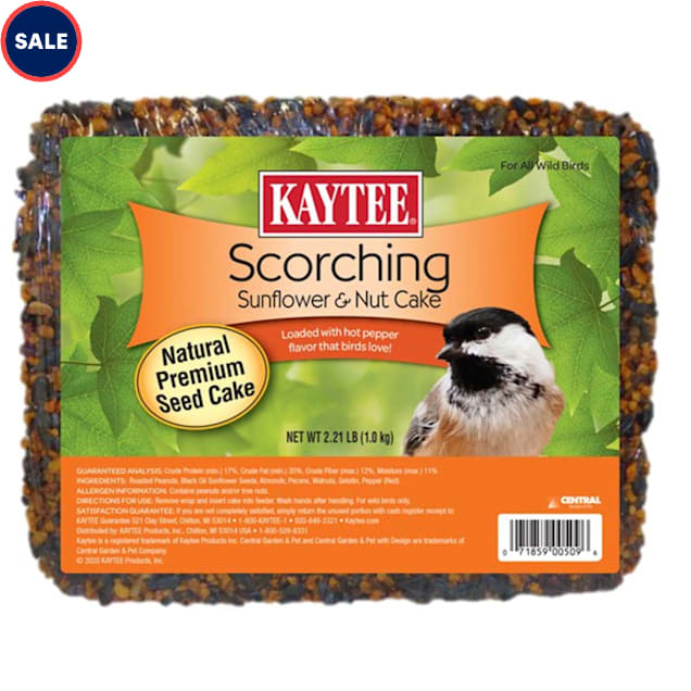 Kaytee Scorching Sunflower & Nut Cake 2.2 lbs. - Carousel image #1