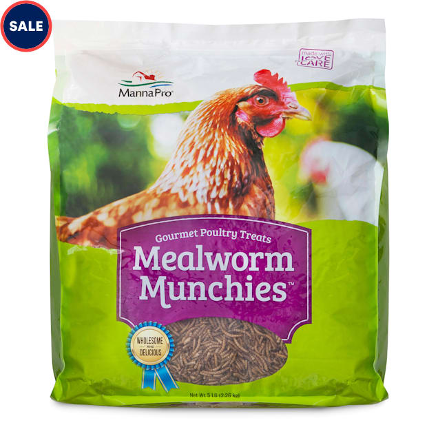 Manna Pro Mealworm Munchies Dried Mealworm High Protein Gourmet Poultry Treat, 5 lbs. - Carousel image #1