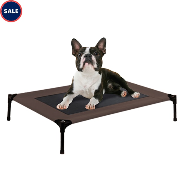 Dog cots for sale 2025