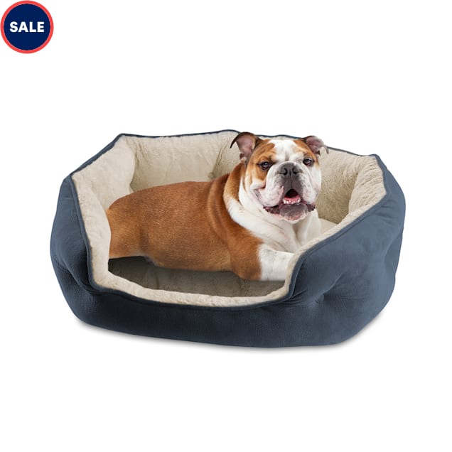 Large dog beds near me hot sale