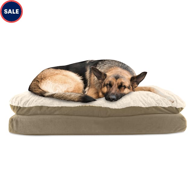 Large rectangle discount dog bed
