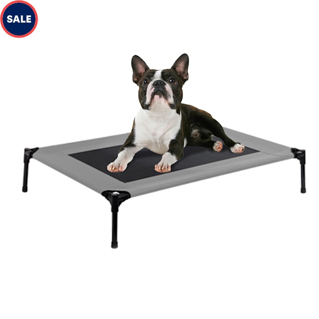 Pet cots for sale online
