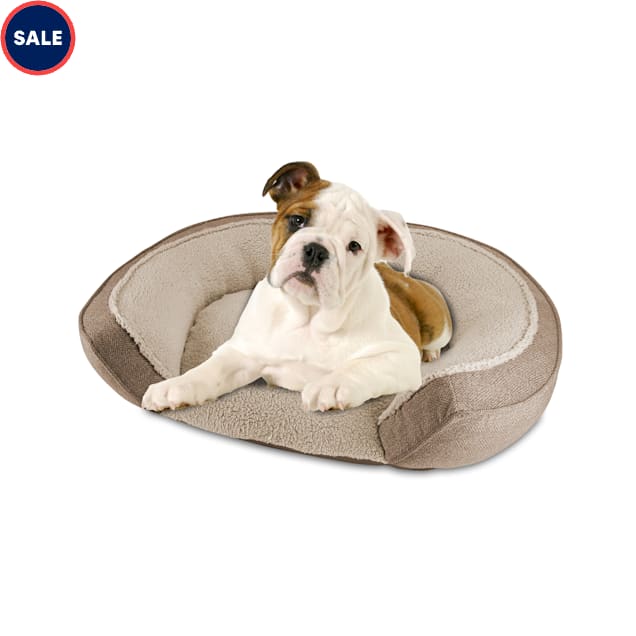 Canine creations mattress bed discount