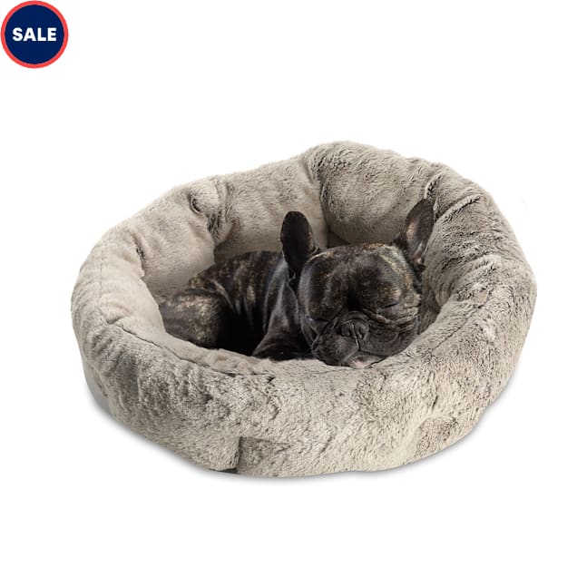 Dog beds store at petco