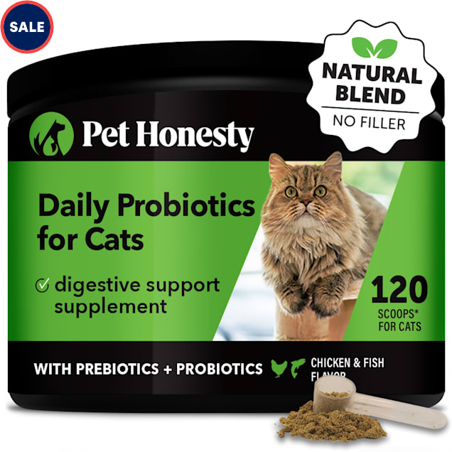 Pet Honesty Digestive Probiotics Powder Cat Supplement 4.2 oz. Count of 48