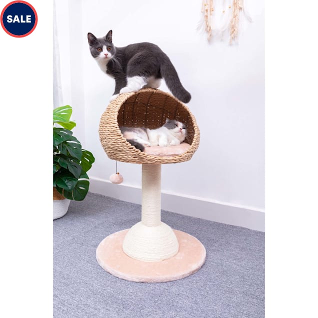 PetPals Group Lookout Eco Friendly Boho Cat Perch with Natural Sisal Scratching Post 29 H Petco