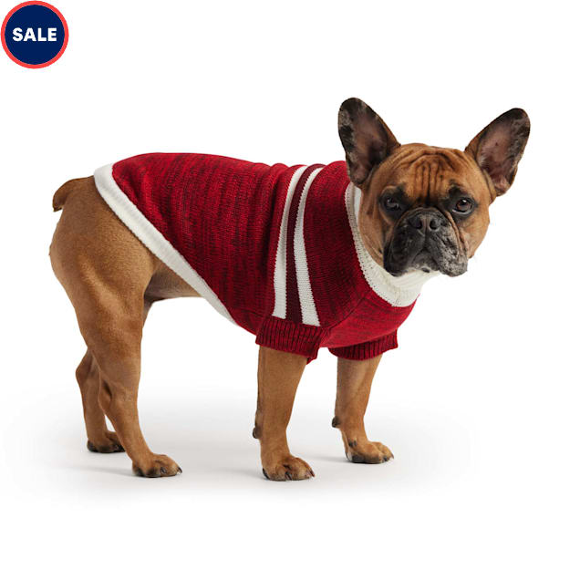 Petco small dog sweaters shop