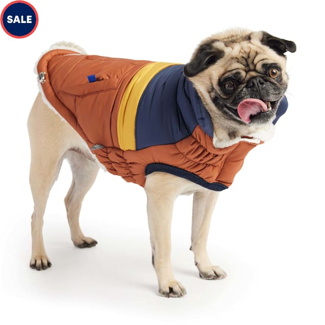 Petco dogs for sale shop