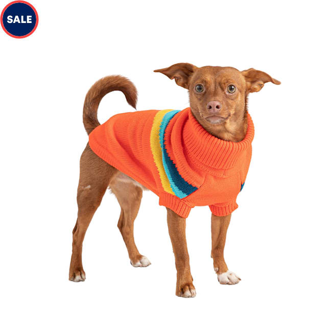 Petco dogs for sale outlet