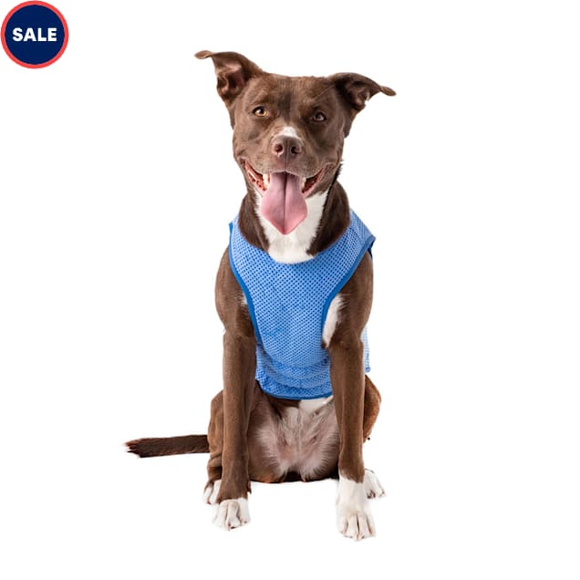 GF Pet Blue Elasto Fit Ice Dog Vest X Small Petco