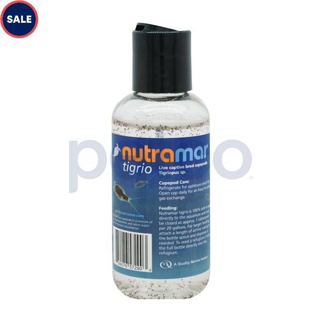 Live copepods petco top