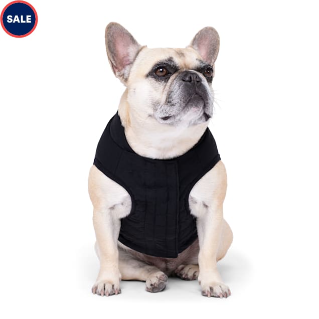 Weighted dog vest petco top