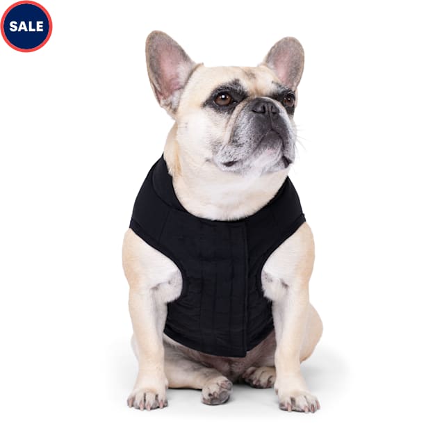 Weighted dog vest discount petco