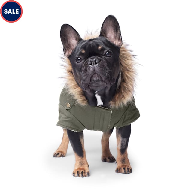 Canada pooch winter jackets top