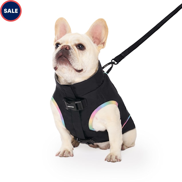 French bulldog harness and winter coat - control and comfort with