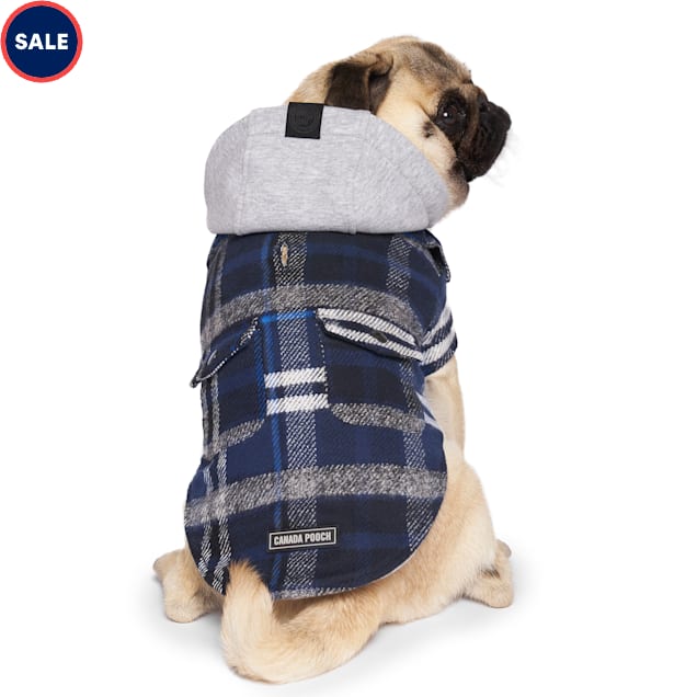 Pet valu dog clothes shop