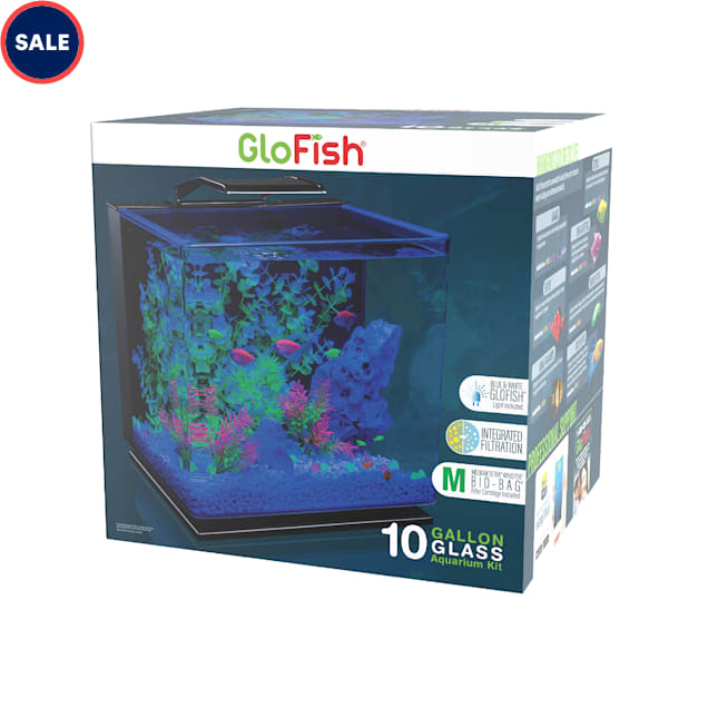 GloFish Glass Aquarium Kit 10 Gallons
