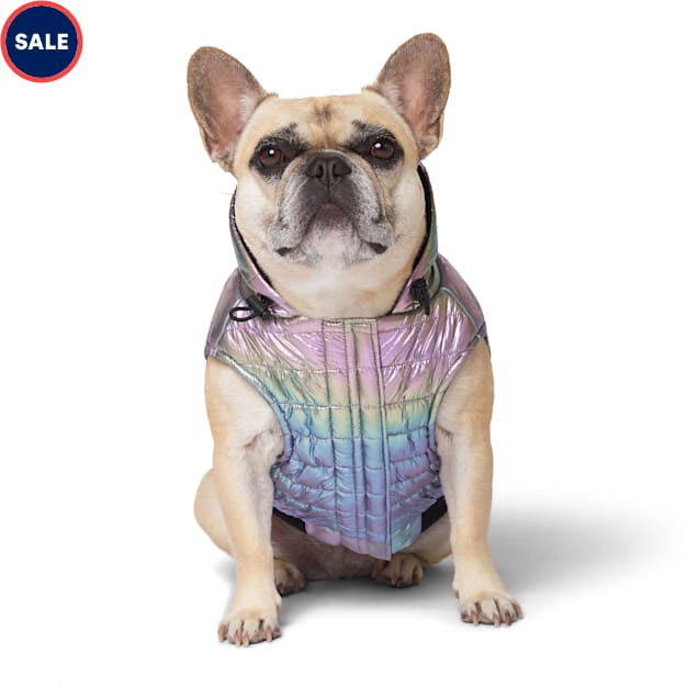 Big sister store dog shirt petco